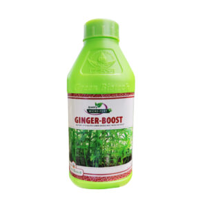 Ginger Boost