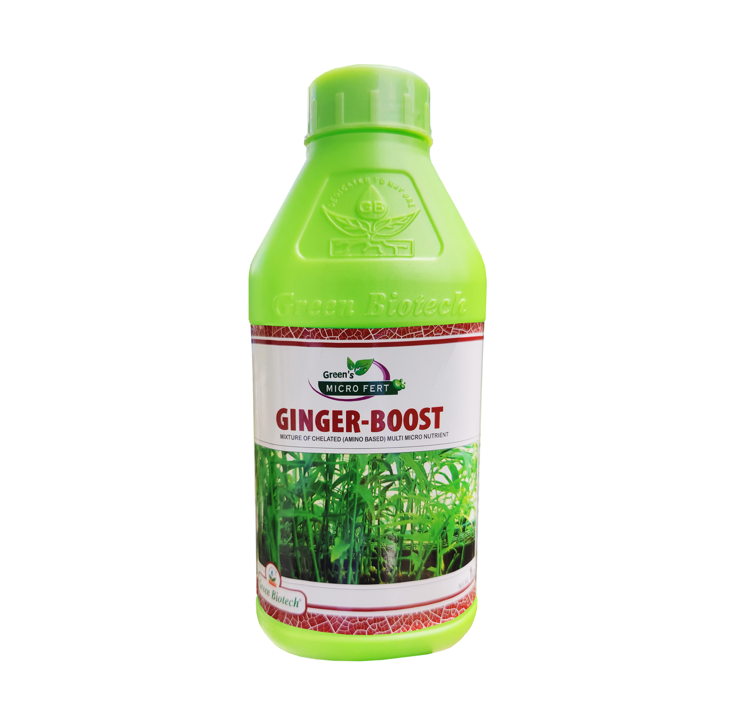 Ginger Boost