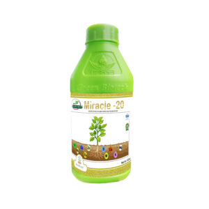 Miracle -20