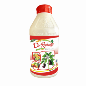 Dr.Recharge L