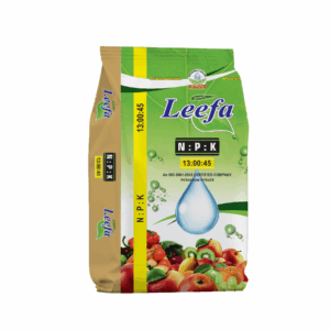 Leefa :13:00:45