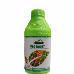 Veg Boost