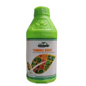 Turmeric Boost