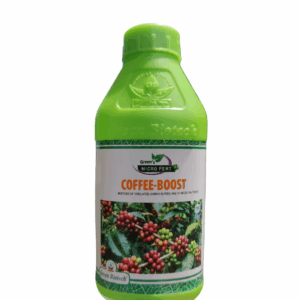Coffee Boost