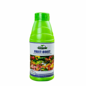 Fruit Boost