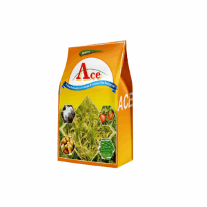 Ace
