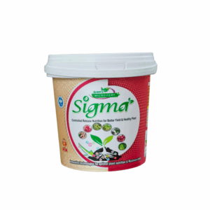 Sigma
