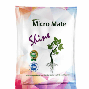 Shine