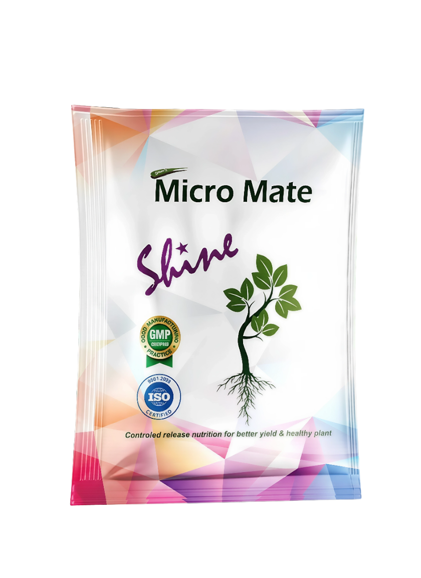 Shine