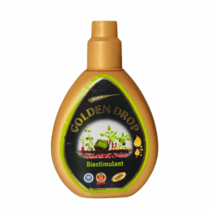 Golden Drop