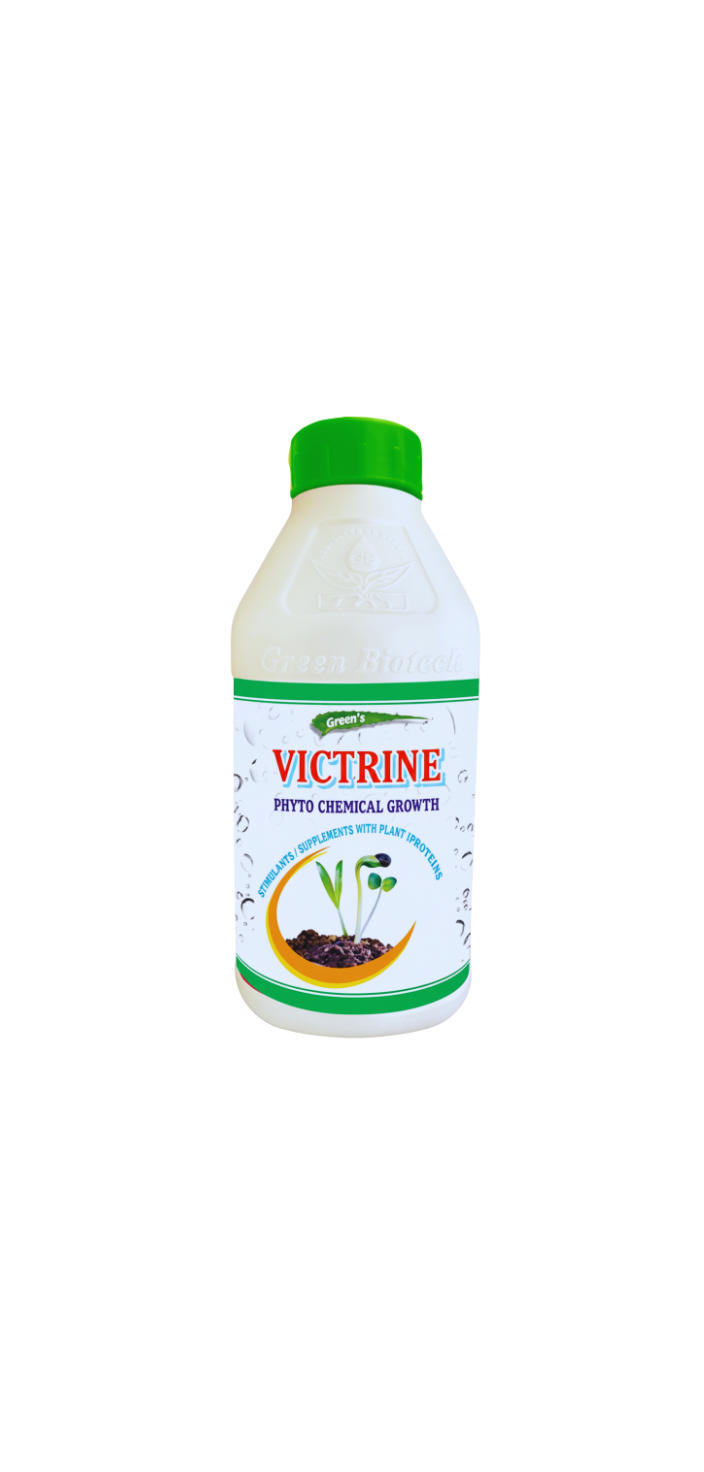 Victrine