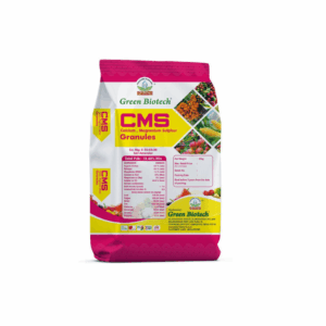 CMS