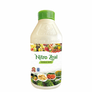 Nitro Zeal L