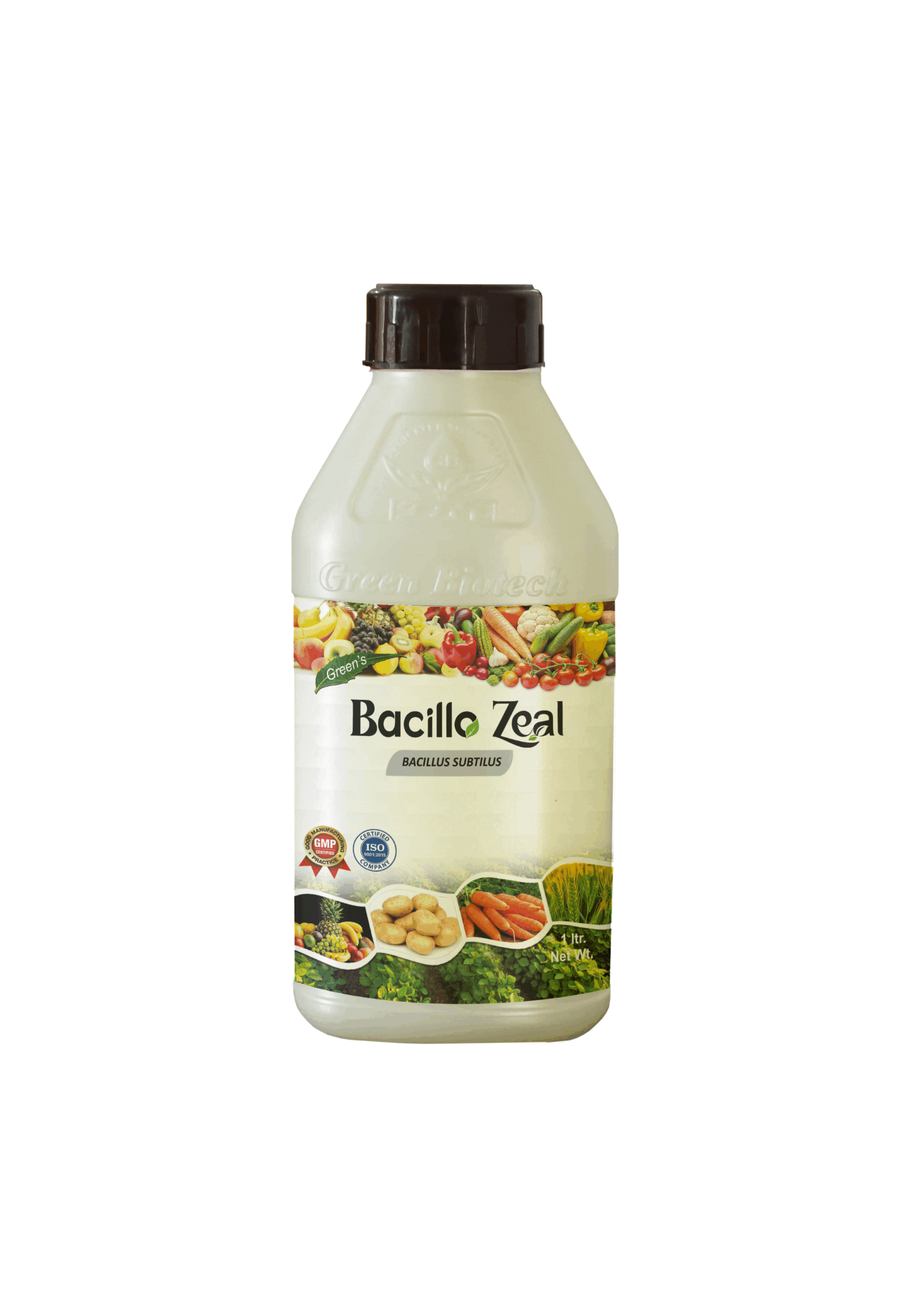 Bacillo Zeal
