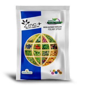 Zinc +